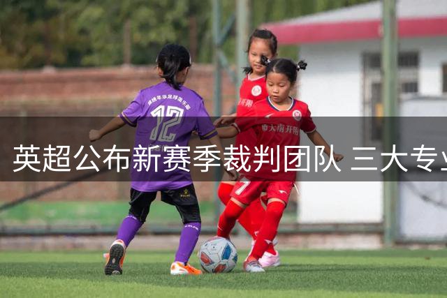 英超公布新赛季裁判团队 三大专业小组名单出炉
