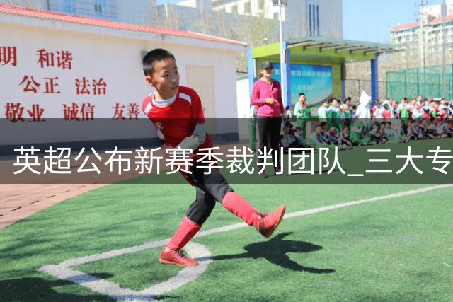 英超公布新赛季裁判团队 三大专业小组名单出炉