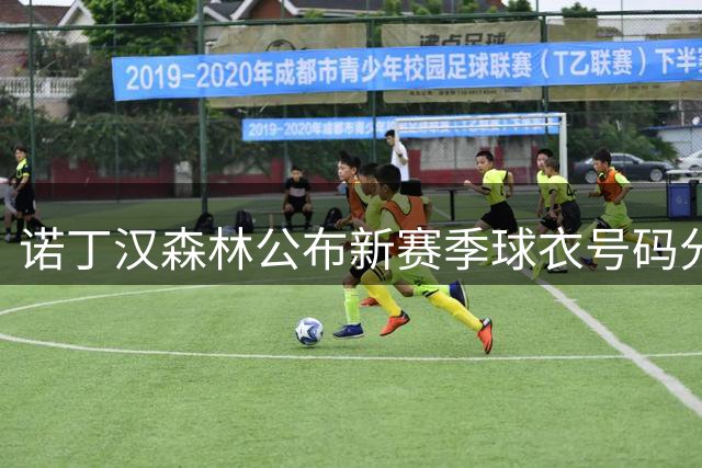诺丁汉森林公布新赛季球衣号码分配